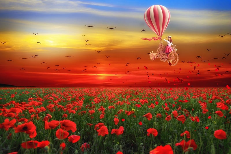 Whimsical Adventures