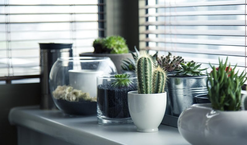 Hand-Painted Plant Pots